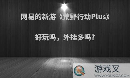 网易的新游《荒野行动Plus》好玩吗，外挂多吗?