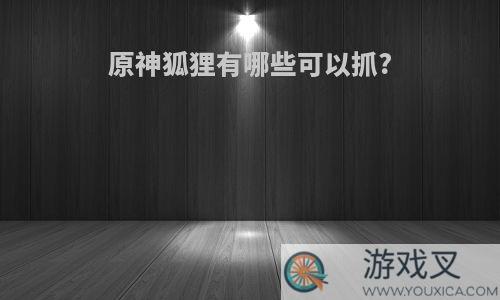 原神狐狸有哪些可以抓?