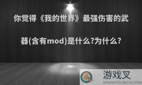 你觉得《我的世界》最强伤害的武器(含有mod)是什么?为什么?