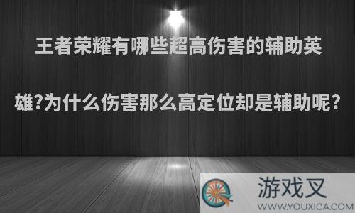 王者荣耀有哪些超高伤害的辅助英雄?为什么伤害那么高定位却是辅助呢?