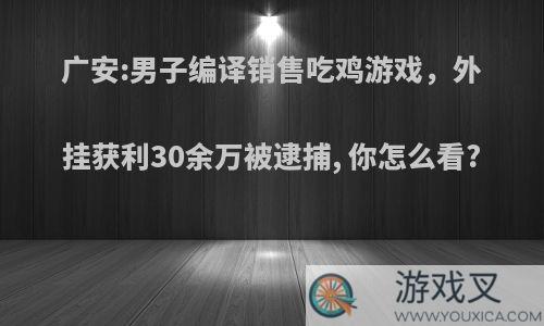 广安:男子编译销售吃鸡游戏，外挂获利30余万被逮捕, 你怎么看?