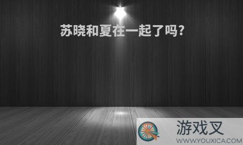 苏晓和夏在一起了吗?