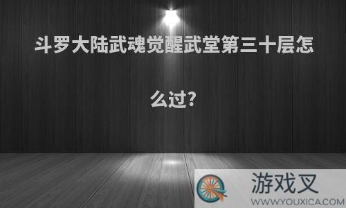 斗罗大陆武魂觉醒武堂第三十层怎么过?