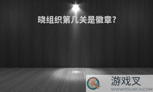 晓组织第几关是徽章?