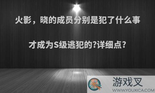 火影，晓的成员分别是犯了什么事才成为S级逃犯的?详细点?